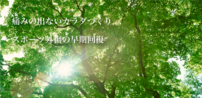 上尾柏座みどり整骨院 トップページ
