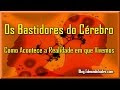 Cérebro - Os Bastidores do Cérebro - Física Quântica