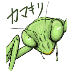 カマキリ Lineスタンプ Zero