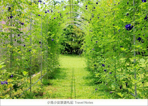 幸福山丘(圖/部落客小兔小安*旅遊札記提供,請勿隨意翻拍,以免侵權。)