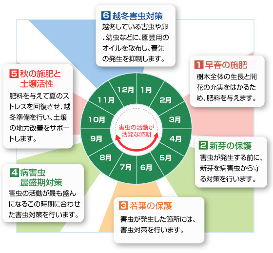 樹木のお手入れ ダスキン長池トータルグリーン