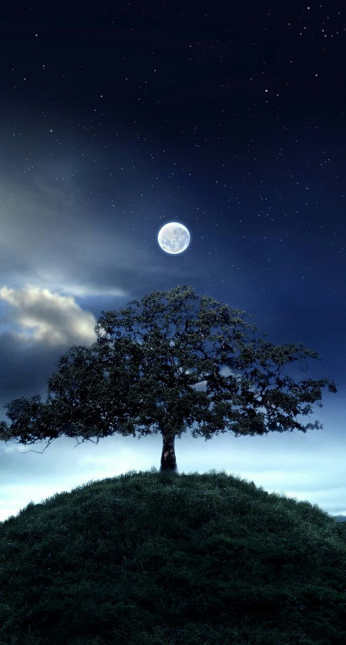 صور خلفيات للهاتف , اروع الخلفيات للموبايل - صور جميلة