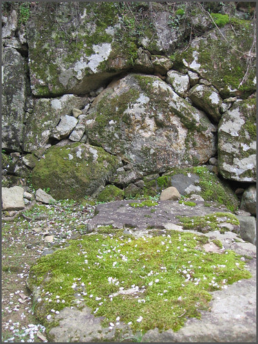 31 stone wall detail