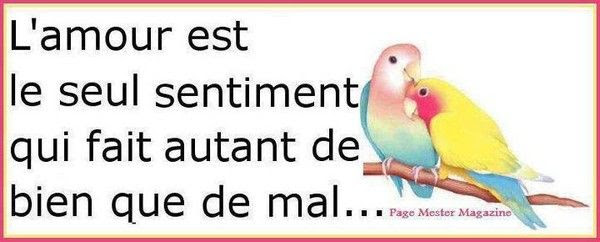 Proverbes Pensees Dictons Page 2