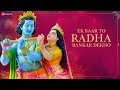 Ak Bar Radha Bankar Dekho Mere Savariya Paglward Com Mp3 Dwld