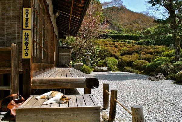 禪意無窮的日本枯山水庭院japanese Zen Garden Meditation 禅の庭 Luminary168 隨意窩xuite日誌