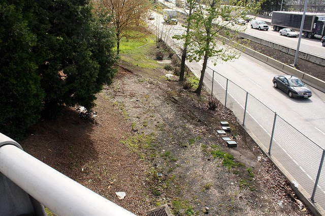 Morrison Bridge, Spring 2010