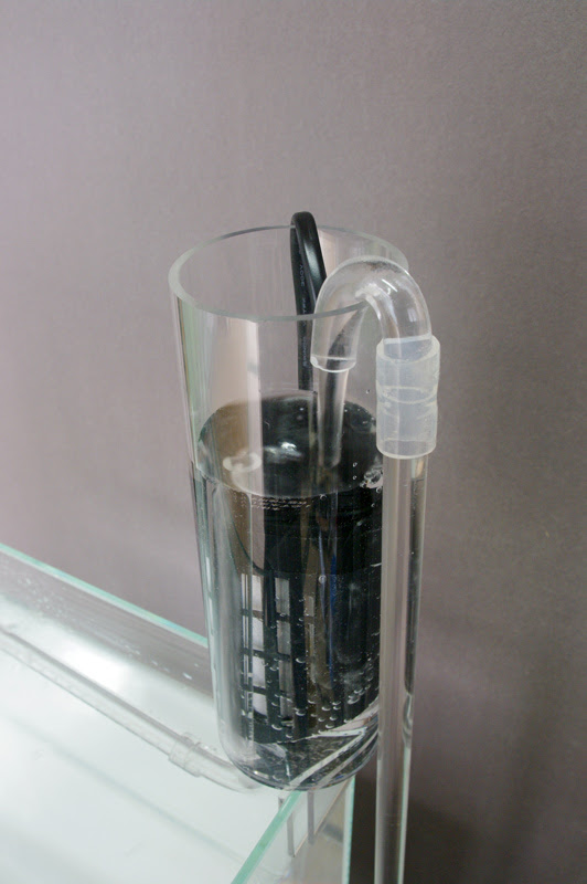 石を作る アイデア商品を作る 遺跡はかっこいい 加藤水槽ブログ