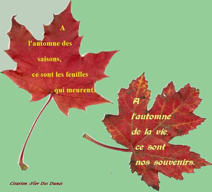 Citation D Automne A L Automne Des Saisons Le Blog De Jm Rober L Fr Over Blog Fr