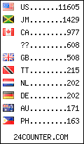 visitors by country counter
