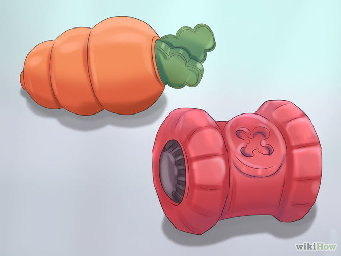 Keep Your Dog's Breath Fresh Step 7.jpg