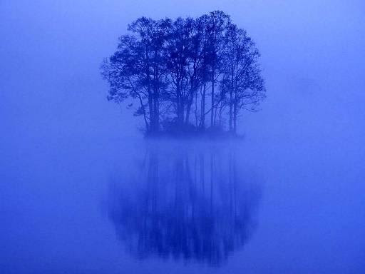 癒される風景 それらすべて愛しき日々 楽天ブログ
