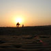 Sunset | silhouette | Jaislamer