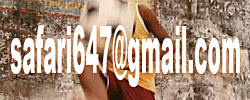 safari647mail
