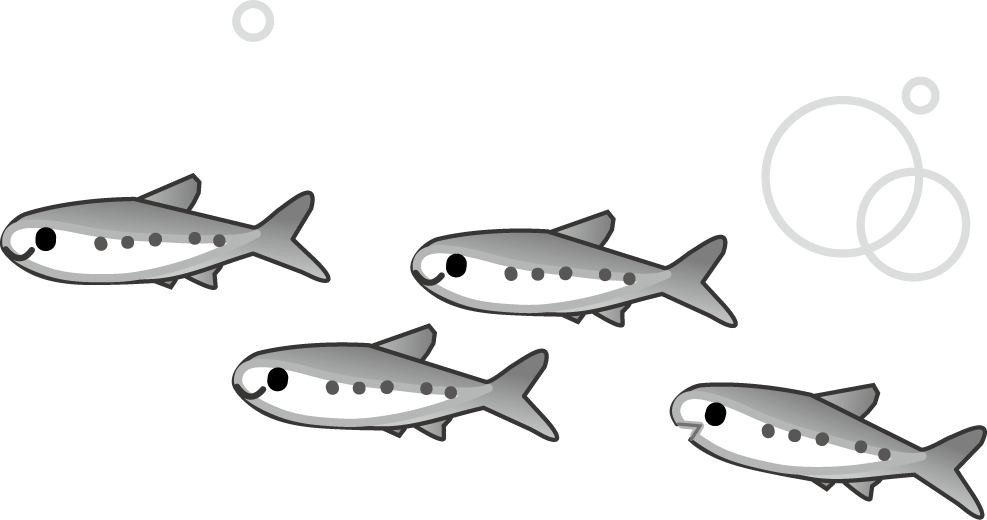 魚のイラスト 無料イラストフリー素材