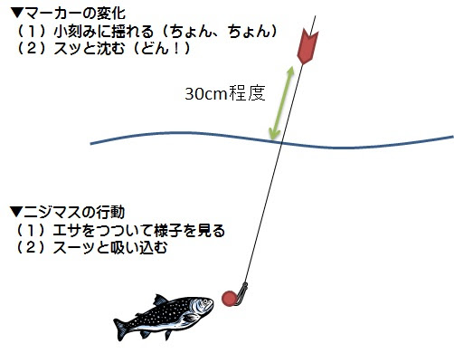 ニジマス釣り 釣り方 仕掛け 図解 ニジマス釣りでアタリが出てからアワセるまで