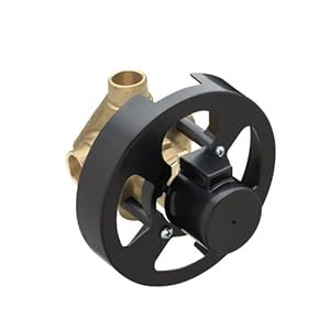 Moen 2520 Monticello PosiTemp 1/2-Inch CC Valve - Single ...