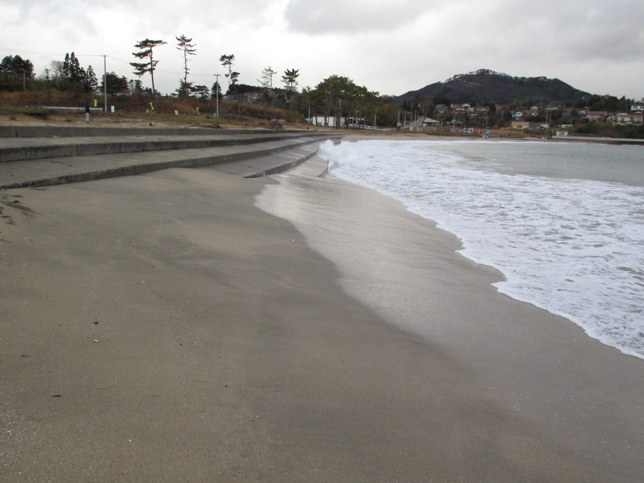 原形復旧なのに高く見える防潮堤 小田の浜 今川 悟