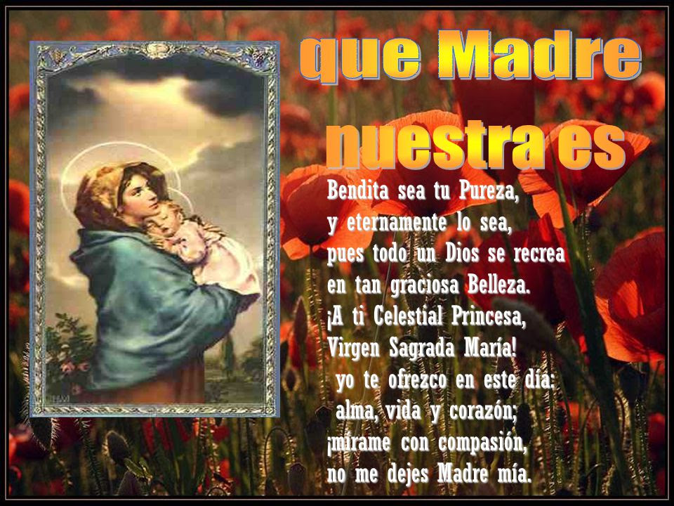 Imagen relacionada