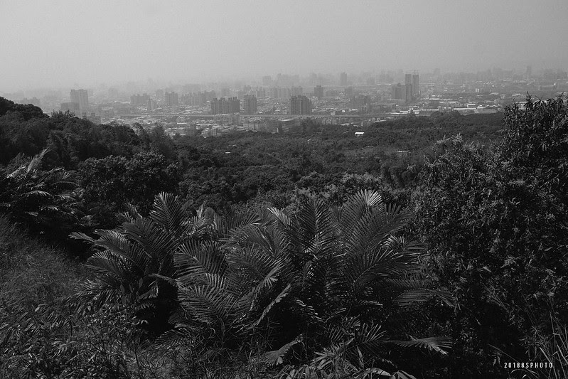 DSC00360