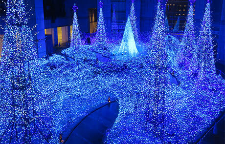 Caretta shiodome building a house