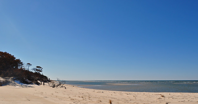 Throne View
