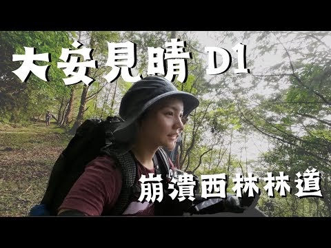 大安見晴安東軍山橫段 4日，西林林道進、奧萬大出 2023六月