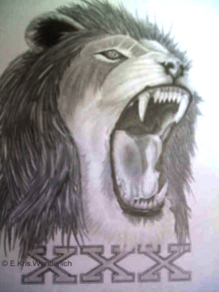 lion tattoos