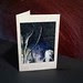 Notecards Mini