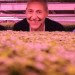 growing underground, london, london underground farm, subterranean farm, hydroponics, hydroponic farm, microgreens, clean energy, low energy, environmentally friendly farming, urban farming