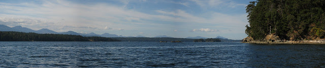 View NW along S side Wallace Island