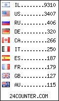visitors by country counter