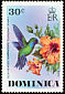Blue-headed Hummingbird Cyanophaia bicolor
