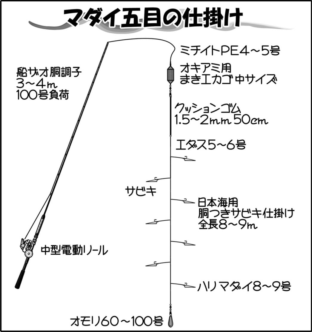 胴つき仕掛けが特徴 日本海のマダイ五目釣り Tsurinews
