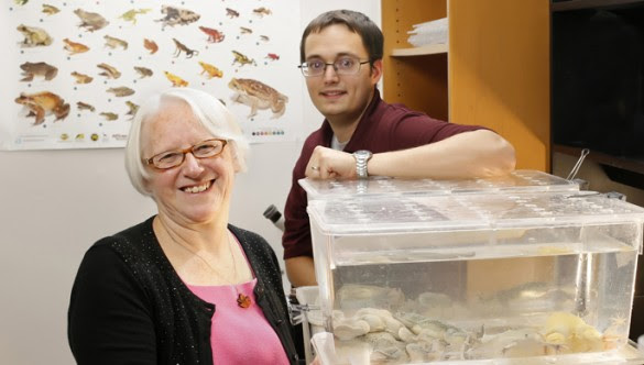 Louise Rollins Smith Profesor patologi dan rekannya  J. Scott Fites sedang meneliti jamur chytrid yang menyebar pada kulit amfibi dan katak.