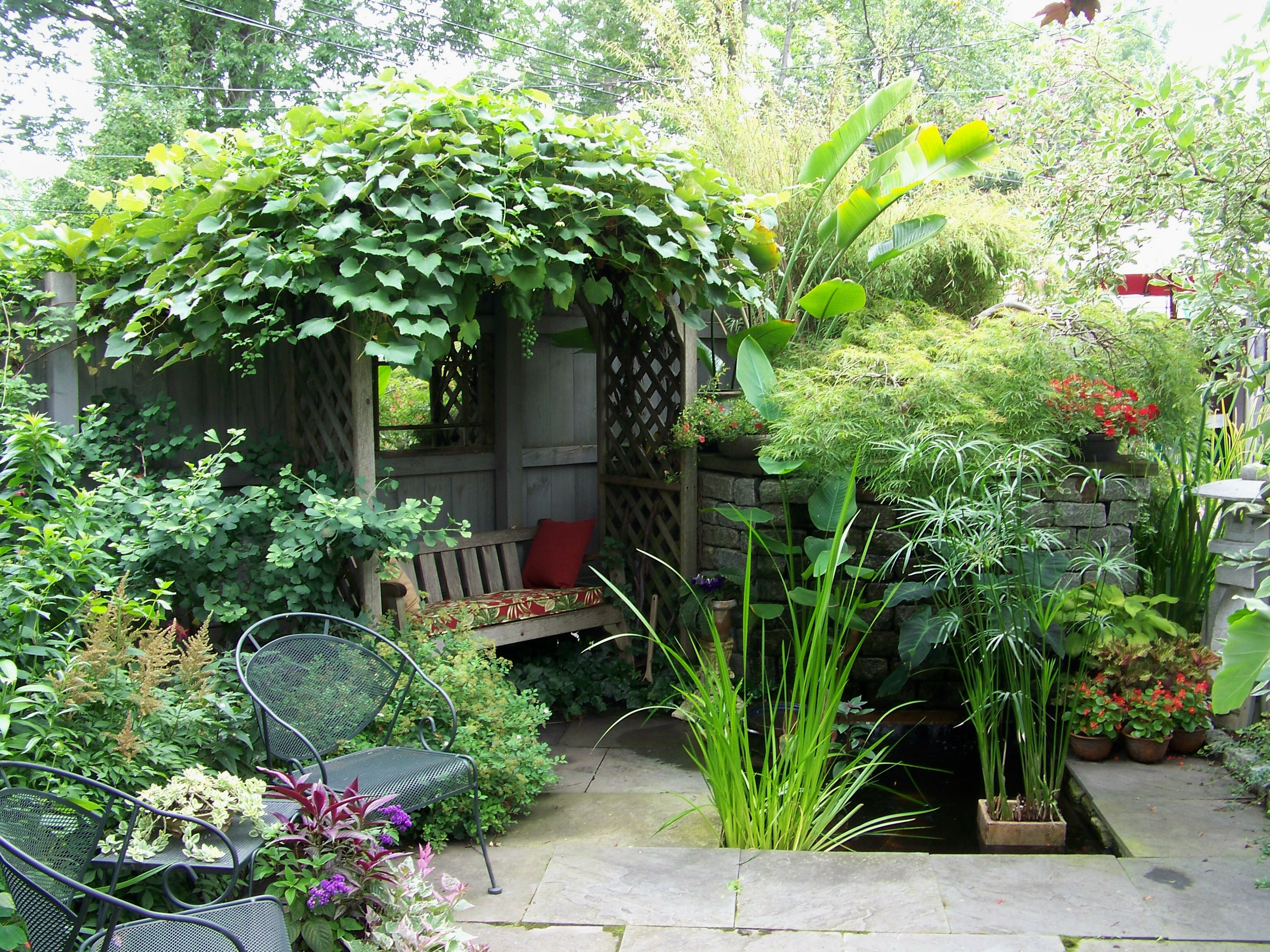 Best Medium And Small Trees Neil Sperrys Gardens