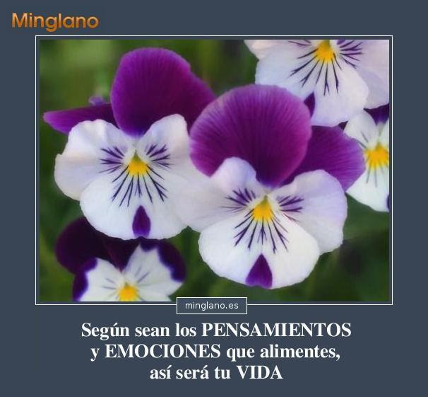 FRASES sobre el MANEJO de las EMOCIONES