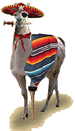 Tony-the-Wonder-Llama