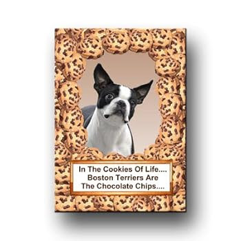 Boston Terrier Chocolate Chip Cookie Fridge Magnet