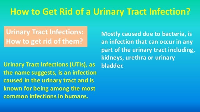 how a get u uti infection rid how tract of a to get Hoool.com urinary how a get u uti infection rid how tract of a to get Hoool.com urinary