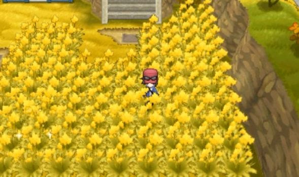 ポケモンxyの色違いの出し方 簡単な捕まえ方 出やすい出現方法 ポケモン剣盾 ソードシールド 攻略 最新情報 Pokemon Times