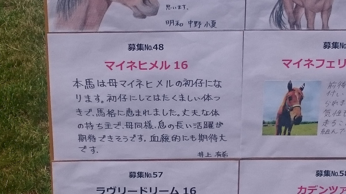 First Step Of Horse Owner ラフィアンターフマンクラブ