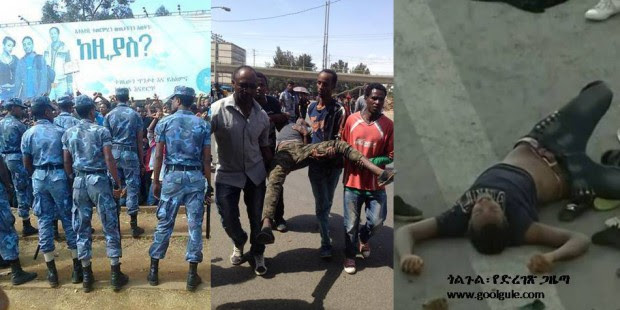 tplf and isis