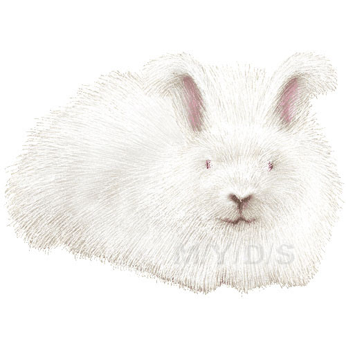 アンゴラ ウサギ 兎 うさぎのイラスト 条件付フリー素材集