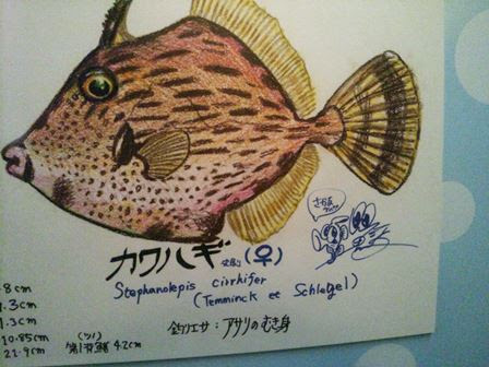 さかなクンのギョギョギョ おさかなミュージアム 帯屋捨松の日々