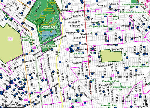 Brooklyn City Council District 40: Schools and Parks