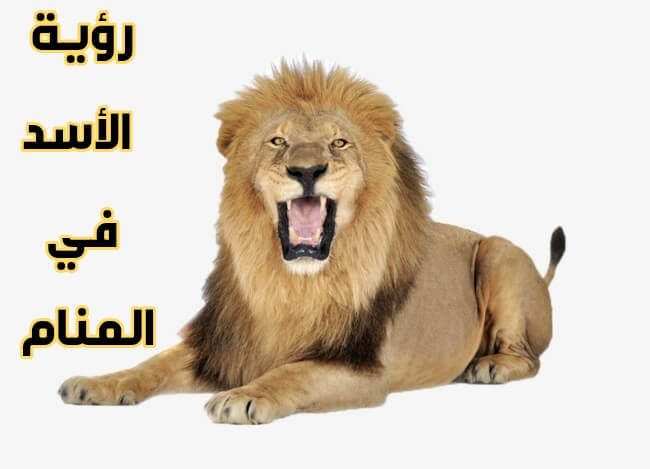 تفسير الاحلام الاسد يلاحقني , رؤيه الاسد وتفسيراته للرائي ...