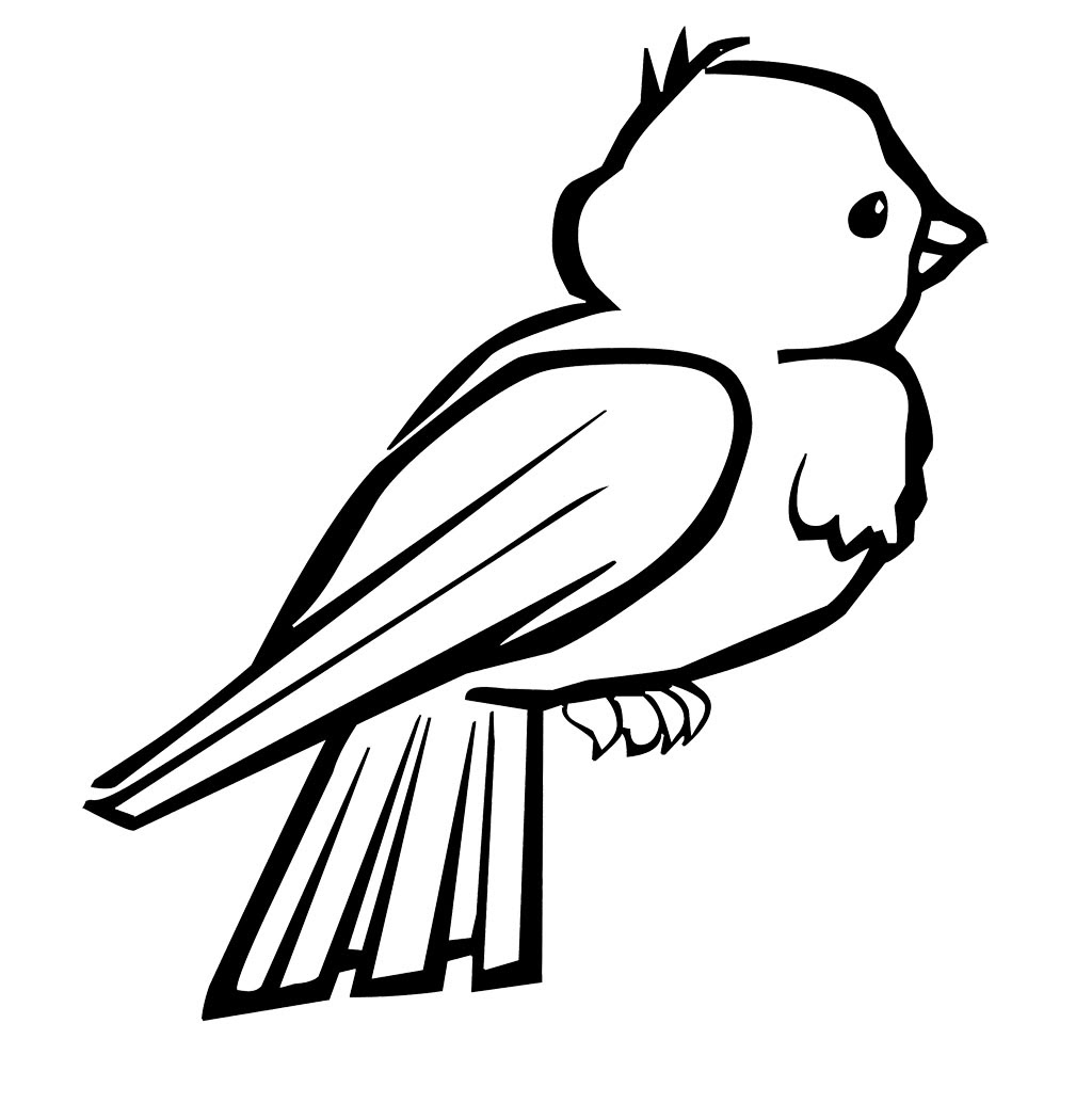 Download Birds of africa coloring pages download and print for free