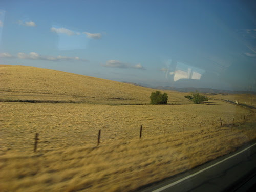 Prateria
