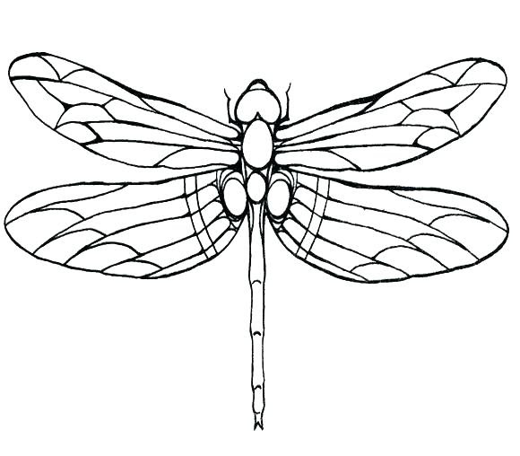 Download Free Dragonfly Coloring Pages at GetColorings.com | Free ...
